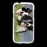 Coque Samsung Galaxy Fresh Chien Border Collie noir et blanc