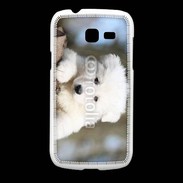 Coque Samsung Galaxy Fresh Chiot berger blanc suisse