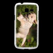 Coque Samsung Galaxy Fresh Chiot labrador 3