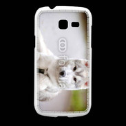 Coque Samsung Galaxy Fresh Chien Husky de Sibérie 2