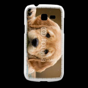 Coque Samsung Galaxy Fresh Chiot labrador golden 2