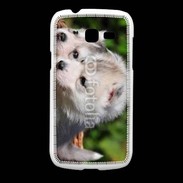 Coque Samsung Galaxy Fresh Chiot Husky de Sibérie 3