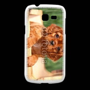 Coque Samsung Galaxy Fresh Chiot King Charles 2