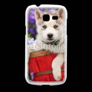 Coque Samsung Galaxy Fresh Portrait chiot Husky de Sibérie 1