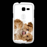 Coque Samsung Galaxy Fresh Petit chiot 4