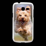 Coque Samsung Galaxy Fresh Yorkshire terrier 6