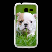 Coque Samsung Galaxy Fresh Petit Bulldog anglais