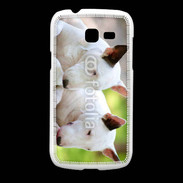 Coque Samsung Galaxy Fresh Chien Bull terrier anglais 1