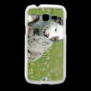 Coque Samsung Galaxy Fresh Chiot blanc et gris 1