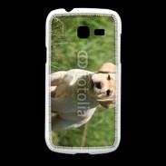 Coque Samsung Galaxy Fresh Mignon petit labrador