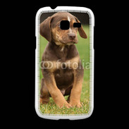 Coque Samsung Galaxy Fresh Chiot marron 2