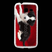 Coque Samsung Galaxy Fresh Chiot noir et blanc 5