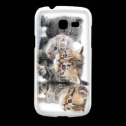Coque Samsung Galaxy Fresh Groupe de chatons 7