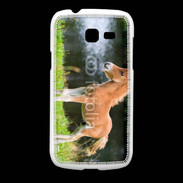 Coque Samsung Galaxy Fresh Poulain marron et blanc
