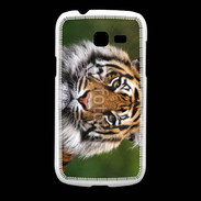Coque Samsung Galaxy Fresh Portrait de tigre 10