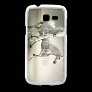 Coque Samsung Galaxy Fresh Chevaux blancs