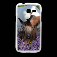 Coque Samsung Galaxy Fresh Cheval sentant la lavande 