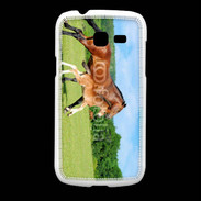 Coque Samsung Galaxy Fresh Cheval et poulain 2
