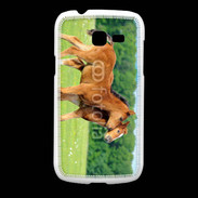 Coque Samsung Galaxy Fresh Poulains