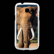 Coque Samsung Galaxy Fresh Éléphant de face