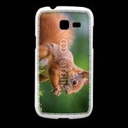 Coque Samsung Galaxy Fresh Ecureuil avec des noisettes