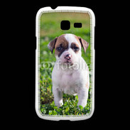Coque Samsung Galaxy Fresh Chiot American Staffordshire terrier 