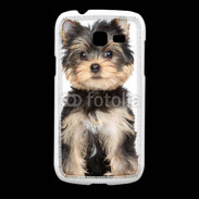 Coque Samsung Galaxy Fresh Chiot Yorkshire terrier 25