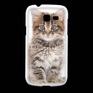Coque Samsung Galaxy Fresh Portrait d'un chaton 75