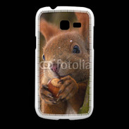 Coque Samsung Galaxy Fresh Portrait d'un écureuil avec une noisette