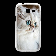 Coque Samsung Galaxy Fresh Magnifique chat persan aux yeux bleus