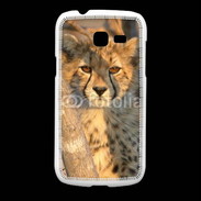 Coque Samsung Galaxy Fresh Jeune félin