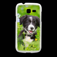 Coque Samsung Galaxy Fresh Chiot Border Collie 100