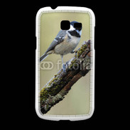 Coque Samsung Galaxy Fresh Oiseau sur une branche 100