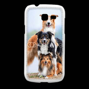 Coque Samsung Galaxy Fresh Famille de colley