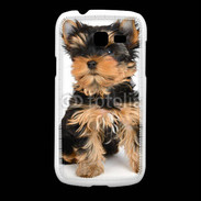 Coque Samsung Galaxy Fresh Yorkshire terrier 15