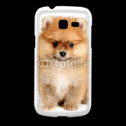 Coque Samsung Galaxy Fresh Chiot Spitz 15