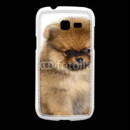 Coque Samsung Galaxy Fresh Chiot Pomeranian 15