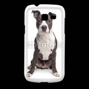 Coque Samsung Galaxy Fresh American Staffordshire Terrier puppy