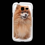 Coque Samsung Galaxy Fresh Keeshond 500