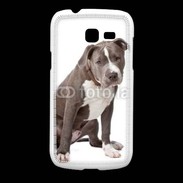 Coque Samsung Galaxy Fresh American staffordshire bull terrier