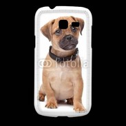 Coque Samsung Galaxy Fresh Cavalier king charles 700
