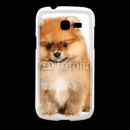 Coque Samsung Galaxy Fresh Spitz Dog 800