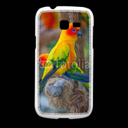 Coque Samsung Galaxy Fresh Aratinga Solstitialis
