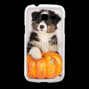 Coque Samsung Galaxy Fresh Chiot Berger Australien 25