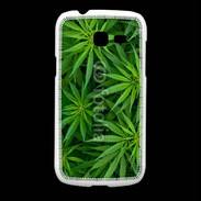 Coque Samsung Galaxy Fresh Feuilles de marijuana