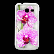 Coque Samsung Galaxy Fresh Belle Orchidée PR 30