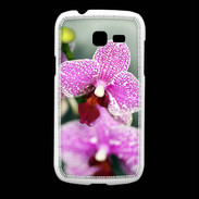 Coque Samsung Galaxy Fresh Belle Orchidée PR 50