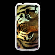 Coque Samsung Galaxy Fresh Œil du tigre PB 1