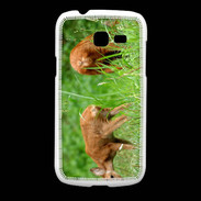 Coque Samsung Galaxy Fresh Chevreuil PB 1