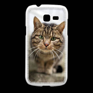 Coque Samsung Galaxy Fresh Portrait de chat PR